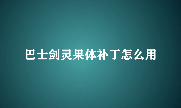 巴士剑灵果体补丁怎么用