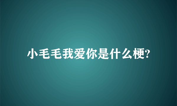 小毛毛我爱你是什么梗?