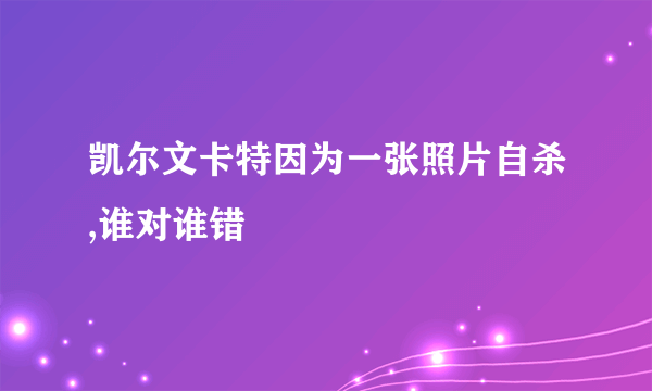 凯尔文卡特因为一张照片自杀,谁对谁错