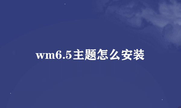 wm6.5主题怎么安装