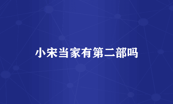 小宋当家有第二部吗