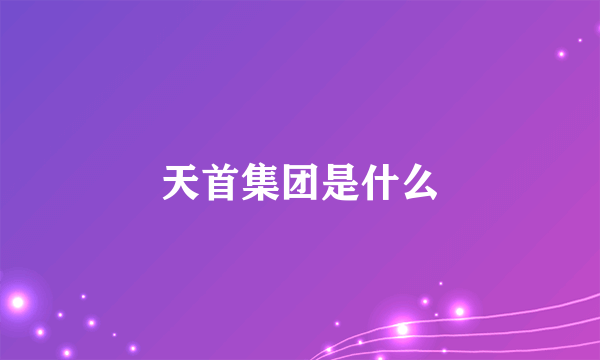 天首集团是什么