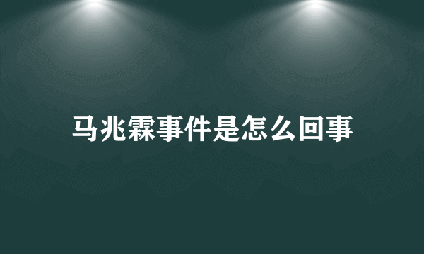 马兆霖事件是怎么回事