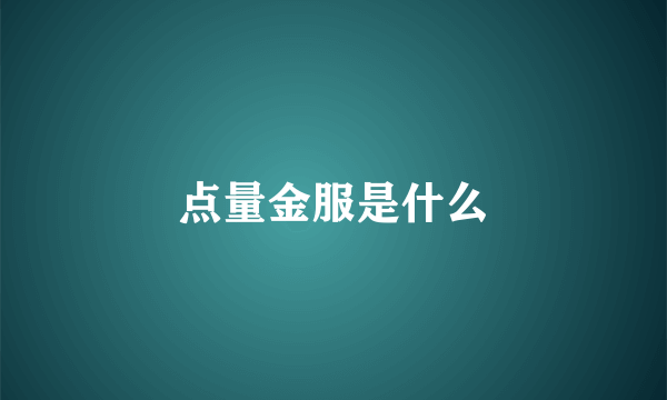 点量金服是什么