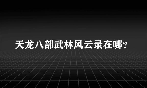 天龙八部武林风云录在哪？