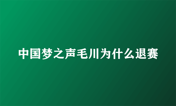 中国梦之声毛川为什么退赛