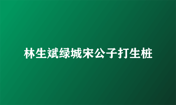 林生斌绿城宋公子打生桩