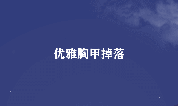 优雅胸甲掉落