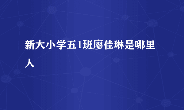 新大小学五1班廖佳琳是哪里人