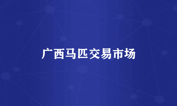 广西马匹交易市场