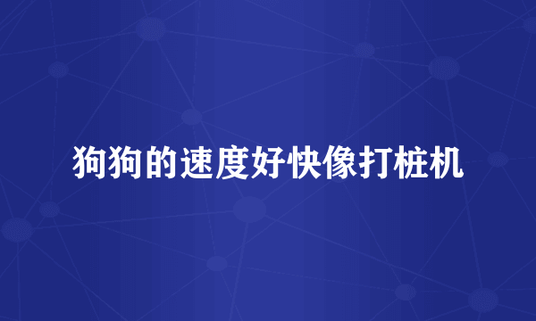 狗狗的速度好快像打桩机