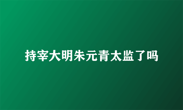 持宰大明朱元青太监了吗