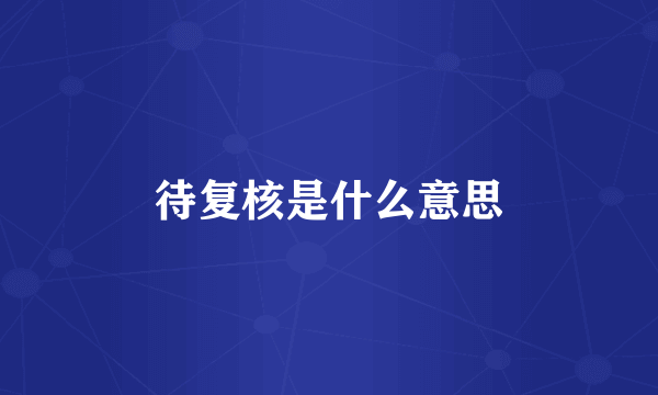 待复核是什么意思