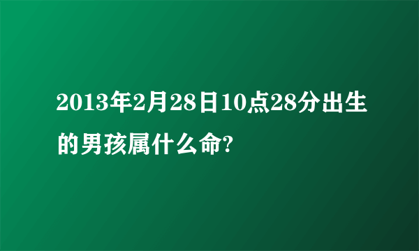 2013年2月28日10点28分出生的男孩属什么命?