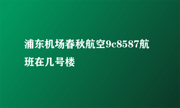 浦东机场春秋航空9c8587航班在几号楼