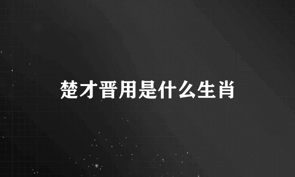 楚才晋用是什么生肖