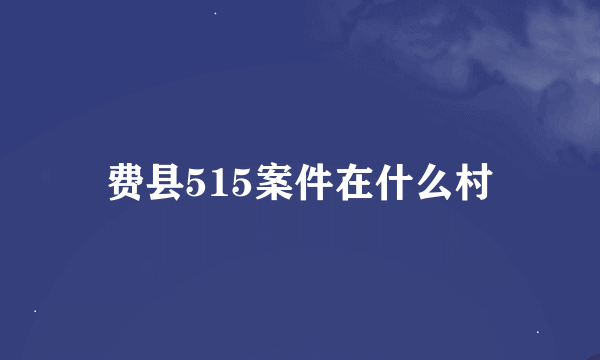 费县515案件在什么村