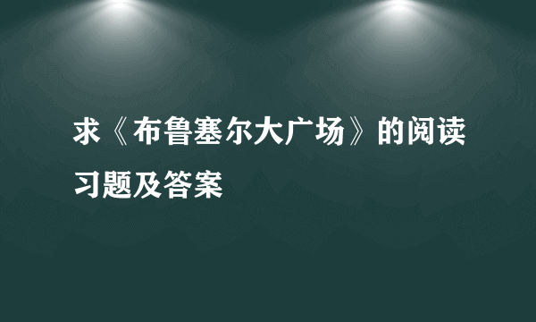 求《布鲁塞尔大广场》的阅读习题及答案