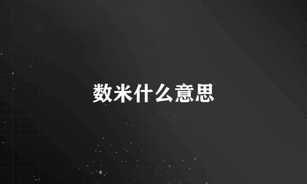 数米什么意思