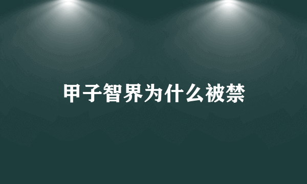 甲子智界为什么被禁