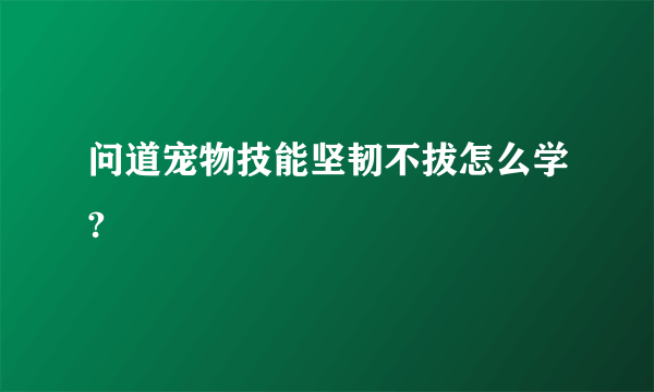 问道宠物技能坚韧不拔怎么学?