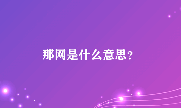 那网是什么意思？