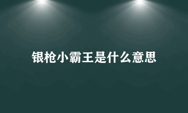 银枪小霸王是什么意思