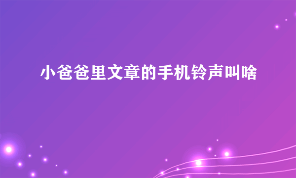 小爸爸里文章的手机铃声叫啥
