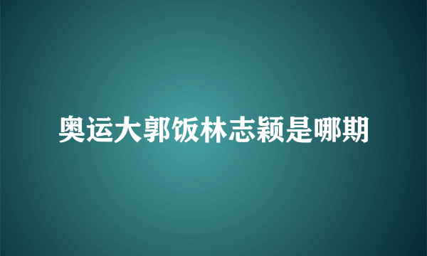 奥运大郭饭林志颖是哪期