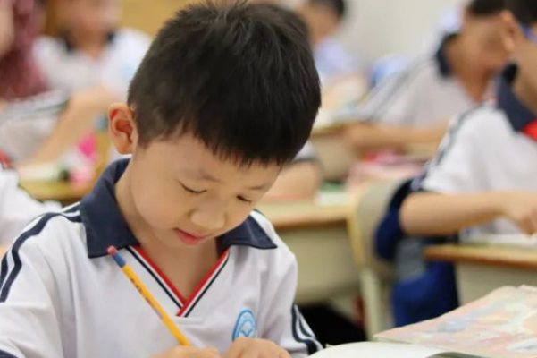 中国tobu7tobu8学生软件是什么？