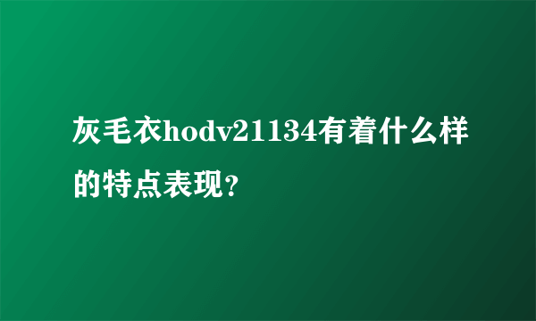 灰毛衣hodv21134有着什么样的特点表现？