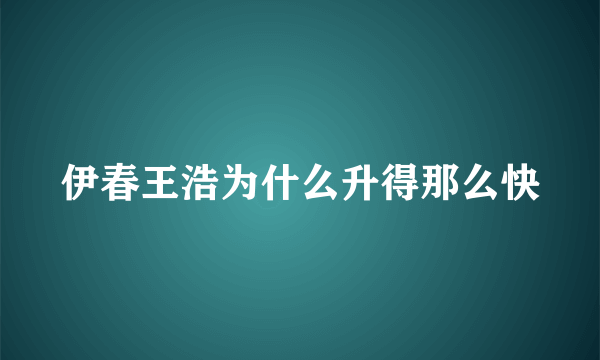 伊春王浩为什么升得那么快
