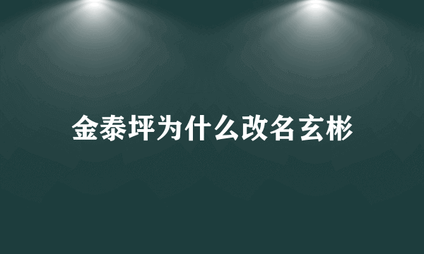 金泰坪为什么改名玄彬