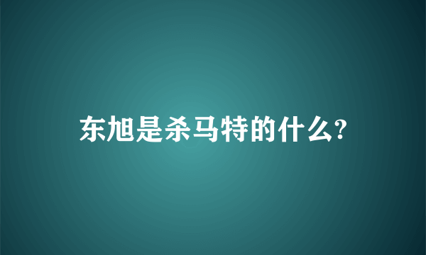 东旭是杀马特的什么?