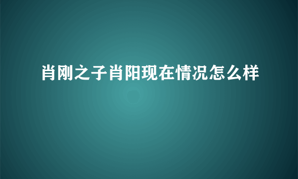 肖刚之子肖阳现在情况怎么样