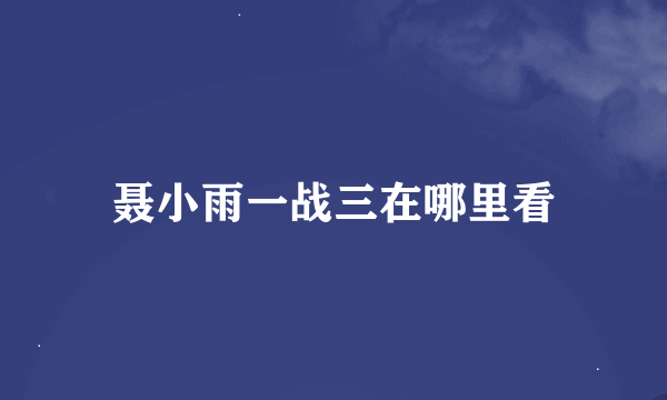 聂小雨一战三在哪里看