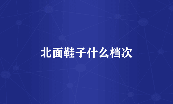 北面鞋子什么档次