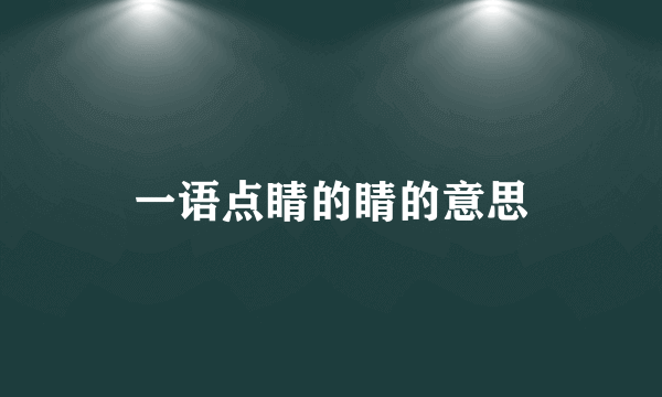 一语点睛的睛的意思