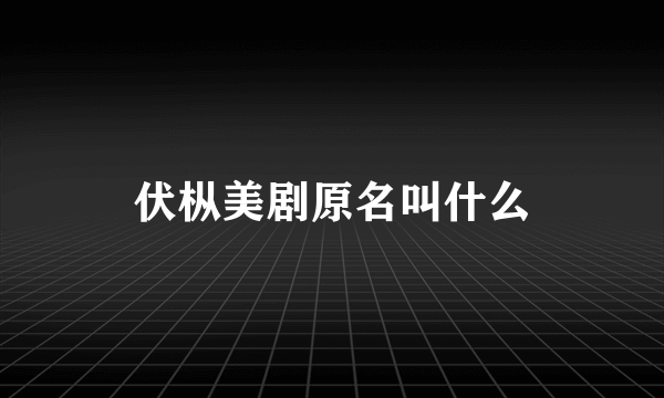 伏枞美剧原名叫什么