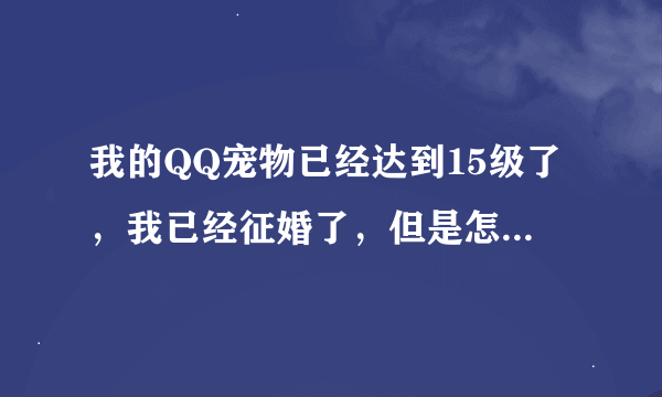 我的QQ宠物已经达到15级了，我已经征婚了，但是怎么样才能结婚呢？