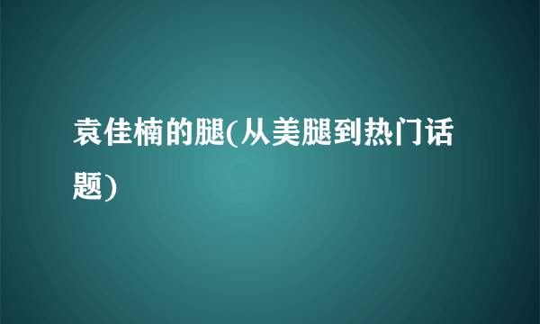 袁佳楠的腿(从美腿到热门话题)