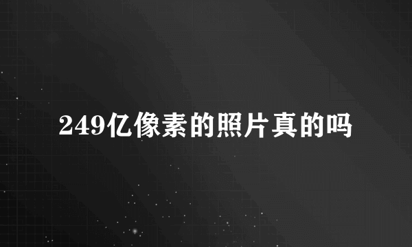 249亿像素的照片真的吗