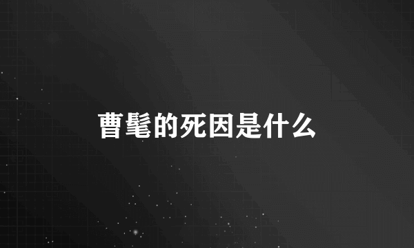 曹髦的死因是什么