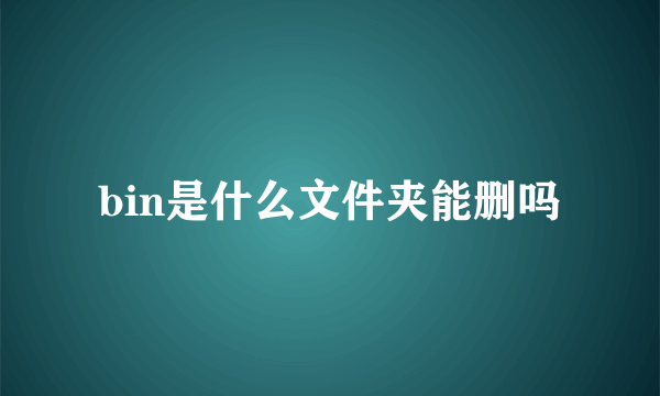 bin是什么文件夹能删吗