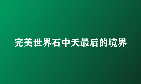 完美世界石中天最后的境界