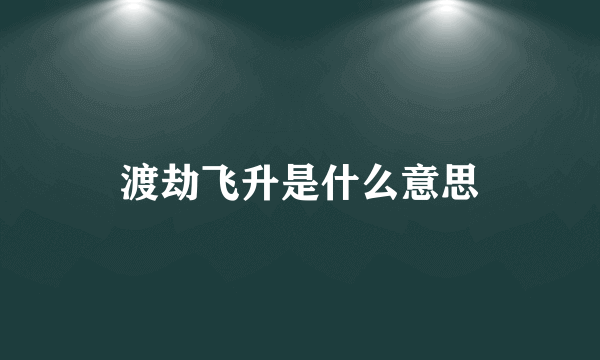 渡劫飞升是什么意思