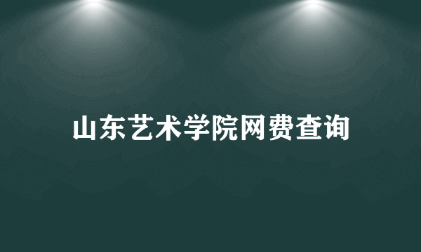 山东艺术学院网费查询