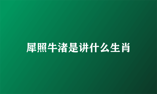 犀照牛渚是讲什么生肖