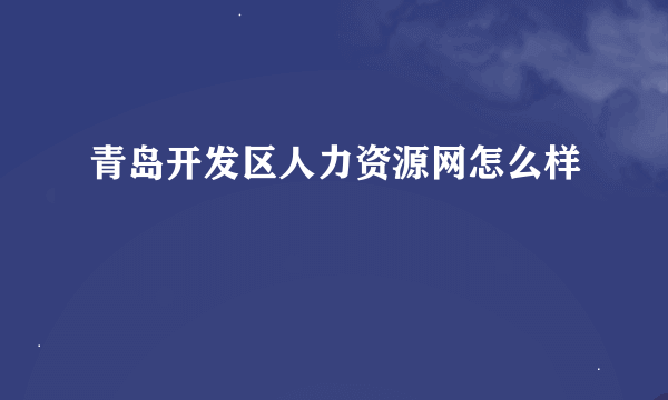 青岛开发区人力资源网怎么样
