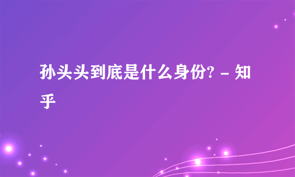孙头头到底是什么身份? - 知乎